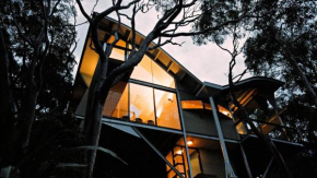 Dynamic and Modern Living Killcare